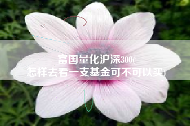 富国量化沪深300(
怎样去看一支基金可不可以买) 富国量化沪深300(
怎样去看一支基金可不可以买)