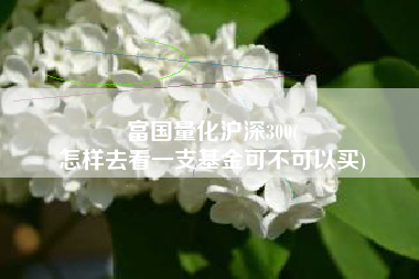 富国量化沪深300(
怎样去看一支基金可不可以买) 富国量化沪深300(
怎样去看一支基金可不可以买)