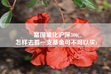 富国量化沪深300(
怎样去看一支基金可不可以买) 富国量化沪深300(
怎样去看一支基金可不可以买)