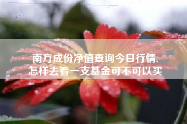 南方成份净值查询今日行情,
怎样去看一支基金可不可以买 南方成份净值查询今日行情,
怎样去看一支基金可不可以买