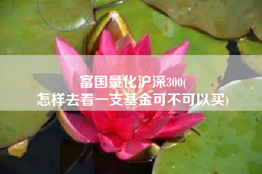 富国量化沪深300(
怎样去看一支基金可不可以买) 富国量化沪深300(
怎样去看一支基金可不可以买)