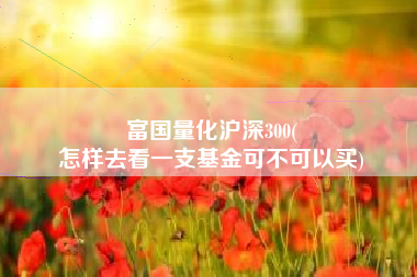 富国量化沪深300(
怎样去看一支基金可不可以买) 富国量化沪深300(
怎样去看一支基金可不可以买)
