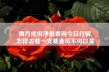 南方成份净值查询今日行情,
怎样去看一支基金可不可以买 南方成份净值查询今日行情,
怎样去看一支基金可不可以买