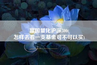 富国量化沪深300(
怎样去看一支基金可不可以买) 富国量化沪深300(
怎样去看一支基金可不可以买)