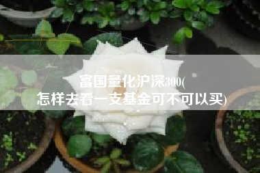 富国量化沪深300(
怎样去看一支基金可不可以买) 富国量化沪深300(
怎样去看一支基金可不可以买)