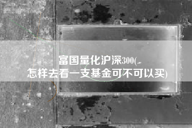 富国量化沪深300(
怎样去看一支基金可不可以买) 富国量化沪深300(
怎样去看一支基金可不可以买)