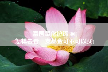 富国量化沪深300(
怎样去看一支基金可不可以买) 富国量化沪深300(
怎样去看一支基金可不可以买)