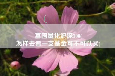 富国量化沪深300(
怎样去看一支基金可不可以买) 富国量化沪深300(
怎样去看一支基金可不可以买)