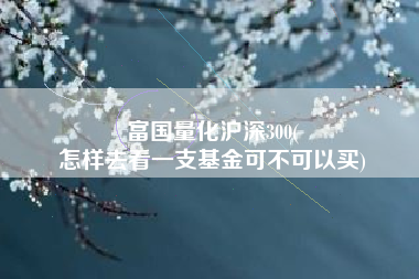 富国量化沪深300(
怎样去看一支基金可不可以买) 富国量化沪深300(
怎样去看一支基金可不可以买)