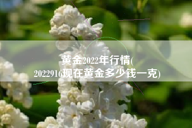 黄金2022年行情(
2022916现在黄金多少钱一克) 黄金2022年行情(
2022916现在黄金多少钱一克)