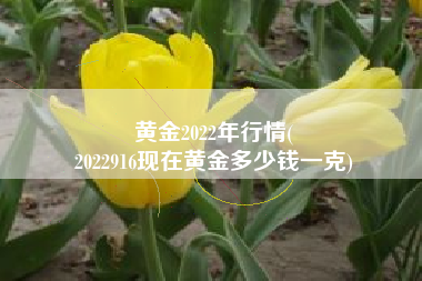 黄金2022年行情(
2022916现在黄金多少钱一克) 黄金2022年行情(
2022916现在黄金多少钱一克)