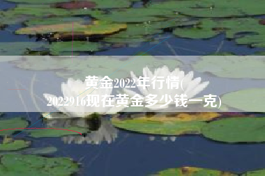 黄金2022年行情(
2022916现在黄金多少钱一克) 黄金2022年行情(
2022916现在黄金多少钱一克)