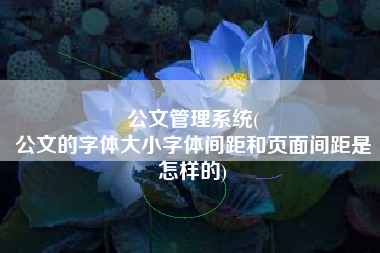 公文管理系统(
公文的字体大小字体间距和页面间距是怎样的) 公文管理系统(
公文的字体大小字体间距和页面间距是怎样的)