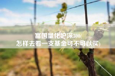富国量化沪深300(
怎样去看一支基金可不可以买) 富国量化沪深300(
怎样去看一支基金可不可以买)