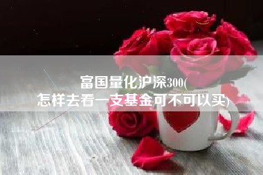 富国量化沪深300(
怎样去看一支基金可不可以买) 富国量化沪深300(
怎样去看一支基金可不可以买)