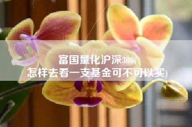 富国量化沪深300(
怎样去看一支基金可不可以买) 富国量化沪深300(
怎样去看一支基金可不可以买)
