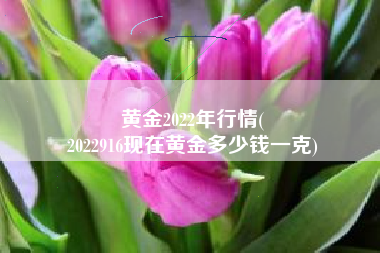 黄金2022年行情(
2022916现在黄金多少钱一克) 黄金2022年行情(
2022916现在黄金多少钱一克)