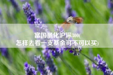富国量化沪深300(
怎样去看一支基金可不可以买) 富国量化沪深300(
怎样去看一支基金可不可以买)