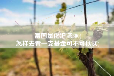富国量化沪深300(
怎样去看一支基金可不可以买) 富国量化沪深300(
怎样去看一支基金可不可以买)