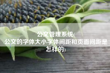 公文管理系统(
公文的字体大小字体间距和页面间距是怎样的) 公文管理系统(
公文的字体大小字体间距和页面间距是怎样的)