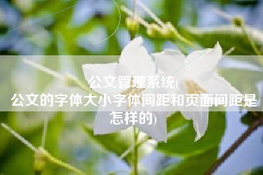 公文管理系统(
公文的字体大小字体间距和页面间距是怎样的) 公文管理系统(
公文的字体大小字体间距和页面间距是怎样的)