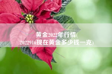 黄金2022年行情(
2022916现在黄金多少钱一克) 黄金2022年行情(
2022916现在黄金多少钱一克)