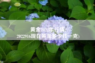 黄金2022年行情(
2022916现在黄金多少钱一克) 黄金2022年行情(
2022916现在黄金多少钱一克)