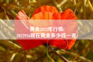 黄金2022年行情(
2022916现在黄金多少钱一克) 黄金2022年行情(
2022916现在黄金多少钱一克)