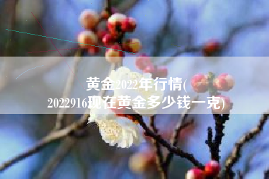 黄金2022年行情(
2022916现在黄金多少钱一克) 黄金2022年行情(
2022916现在黄金多少钱一克)