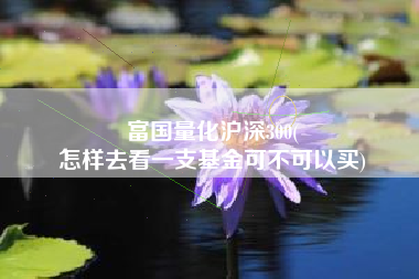 富国量化沪深300(
怎样去看一支基金可不可以买) 富国量化沪深300(
怎样去看一支基金可不可以买)