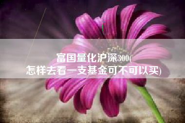 富国量化沪深300(
怎样去看一支基金可不可以买) 富国量化沪深300(
怎样去看一支基金可不可以买)