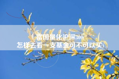 富国量化沪深300(
怎样去看一支基金可不可以买) 富国量化沪深300(
怎样去看一支基金可不可以买)