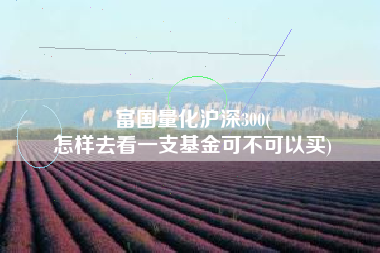 富国量化沪深300(
怎样去看一支基金可不可以买) 富国量化沪深300(
怎样去看一支基金可不可以买)