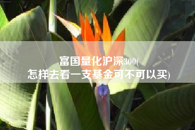富国量化沪深300(
怎样去看一支基金可不可以买) 富国量化沪深300(
怎样去看一支基金可不可以买)