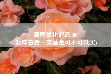 富国量化沪深300(
怎样去看一支基金可不可以买) 富国量化沪深300(
怎样去看一支基金可不可以买)
