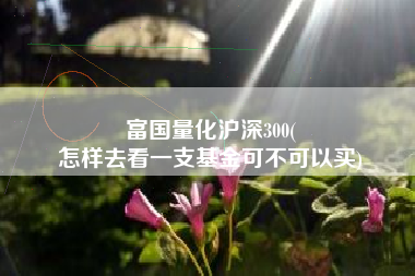 富国量化沪深300(
怎样去看一支基金可不可以买) 富国量化沪深300(
怎样去看一支基金可不可以买)
