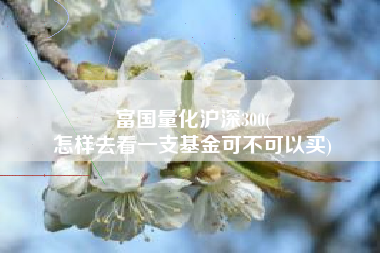 富国量化沪深300(
怎样去看一支基金可不可以买) 富国量化沪深300(
怎样去看一支基金可不可以买)