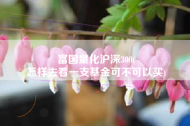 富国量化沪深300(
怎样去看一支基金可不可以买) 富国量化沪深300(
怎样去看一支基金可不可以买)