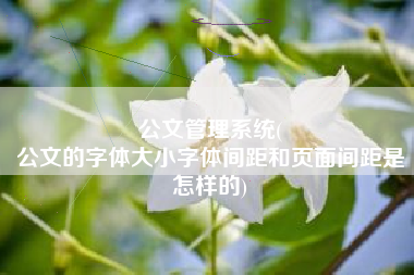 公文管理系统(
公文的字体大小字体间距和页面间距是怎样的) 公文管理系统(
公文的字体大小字体间距和页面间距是怎样的)