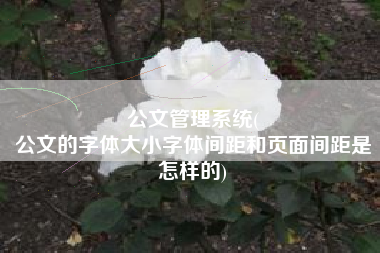 公文管理系统(
公文的字体大小字体间距和页面间距是怎样的) 公文管理系统(
公文的字体大小字体间距和页面间距是怎样的)
