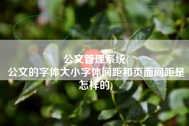 公文管理系统(
公文的字体大小字体间距和页面间距是怎样的) 公文管理系统(
公文的字体大小字体间距和页面间距是怎样的)