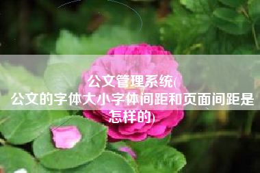 公文管理系统(
公文的字体大小字体间距和页面间距是怎样的) 公文管理系统(
公文的字体大小字体间距和页面间距是怎样的)