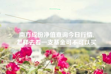 南方成份净值查询今日行情,
怎样去看一支基金可不可以买 南方成份净值查询今日行情,
怎样去看一支基金可不可以买