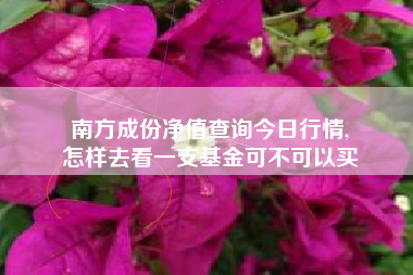 南方成份净值查询今日行情,
怎样去看一支基金可不可以买 南方成份净值查询今日行情,
怎样去看一支基金可不可以买
