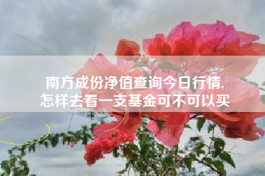 南方成份净值查询今日行情,
怎样去看一支基金可不可以买 南方成份净值查询今日行情,
怎样去看一支基金可不可以买