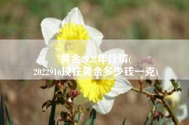 黄金2022年行情(
2022916现在黄金多少钱一克) 黄金2022年行情(
2022916现在黄金多少钱一克)