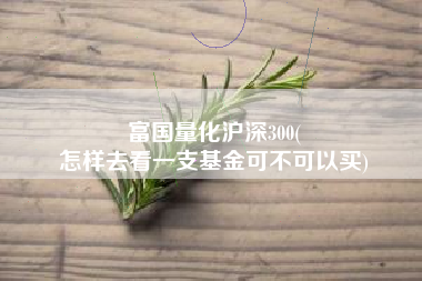 富国量化沪深300(
怎样去看一支基金可不可以买) 富国量化沪深300(
怎样去看一支基金可不可以买)
