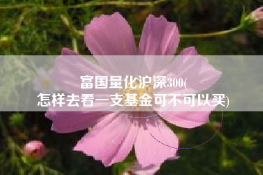富国量化沪深300(
怎样去看一支基金可不可以买) 富国量化沪深300(
怎样去看一支基金可不可以买)