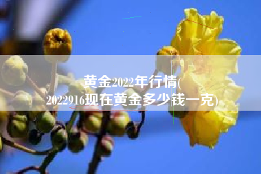 黄金2022年行情(
2022916现在黄金多少钱一克) 黄金2022年行情(
2022916现在黄金多少钱一克)