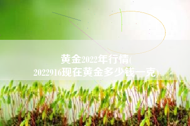 黄金2022年行情(
2022916现在黄金多少钱一克) 黄金2022年行情(
2022916现在黄金多少钱一克)